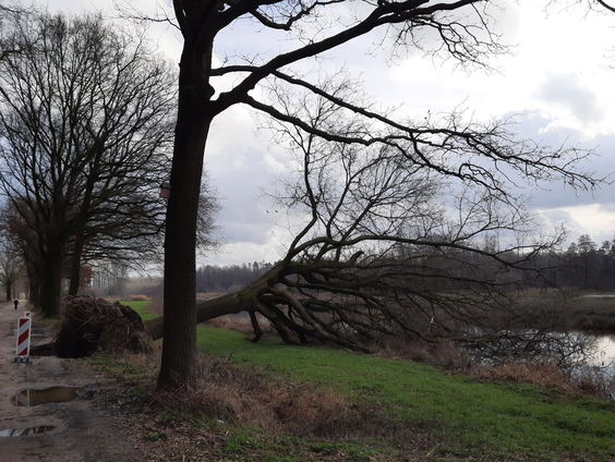 Hoogwater geen drama voor de natuur