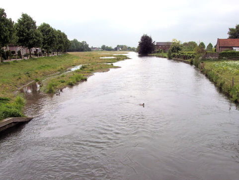 De Rijn: Rivier des Vaderlands