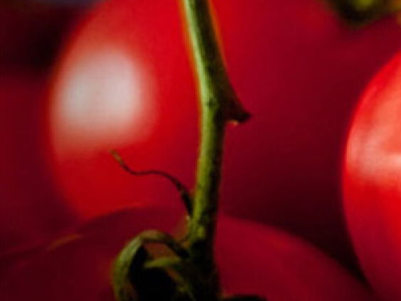 Mangiare! Over Janneke Philippi en Soenil Bahadoer