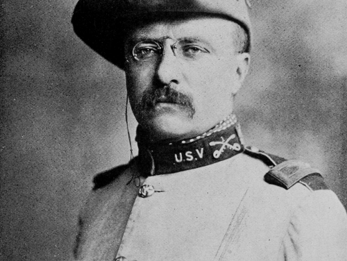 Van Raspoetin tot Roosevelt: Theodore Roosevelt (1858-1919) oorlogsheld, ontdekkingsreiziger en testoronp ...