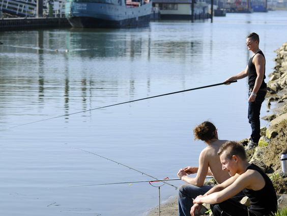 De natuur heeft behoefte herfstbuien, Oude Waal bijna drooggevallen