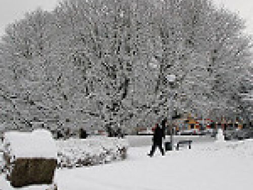 Hoeveel cm sneeuw is er gevallen? Vraag het de weeramateur!