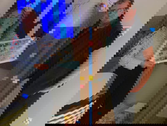 Welke vlinders verschuilen zich in jouw tuin?