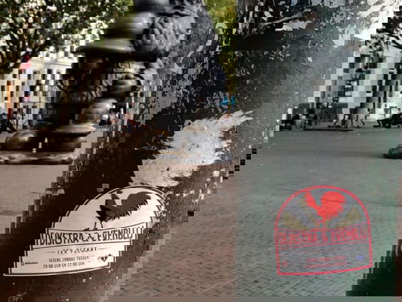 Het verhaal van Kabouter Buttplug