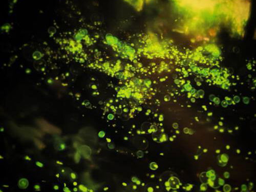 Turing gedichtenwedstrijd