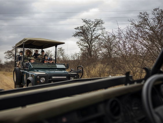 Reeën, dassen en zeearenden, op Safari in eigen land