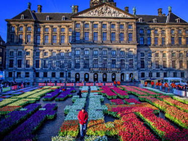 Massale media-aandacht voor Nederlandse tulp