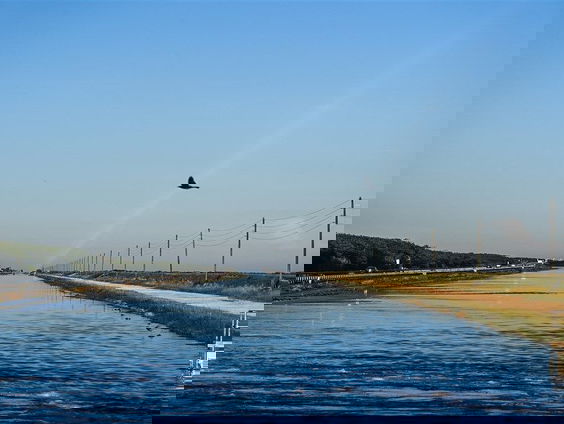 Lid van een communistische partij in Nederland. Hoe is dat?