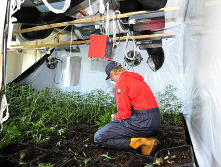 Brand door wietplantages slaan vaak over naar de buren