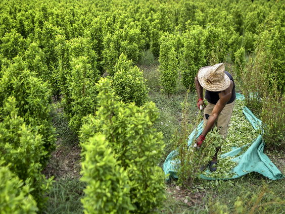 Colombia is terug bij af