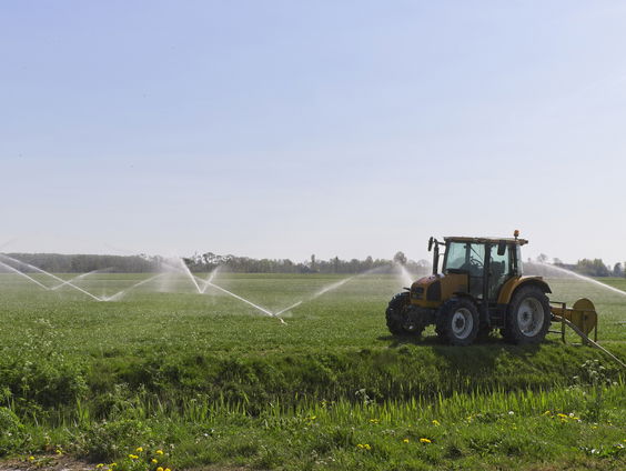 Nederland moet een spons worden
