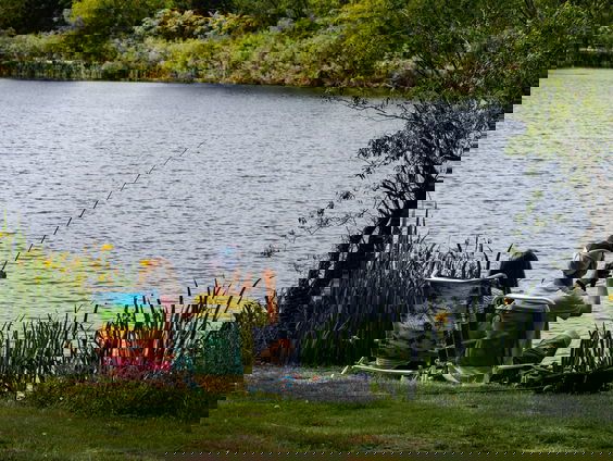 Vissen razend populair