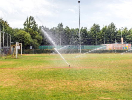 Wat er moet gebeuren om misbruik bij sportclubs tegen te gaan