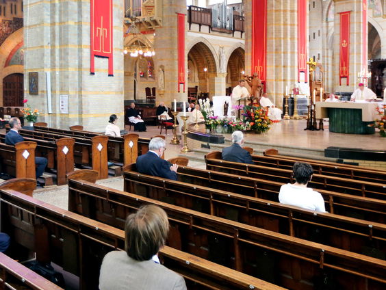 Reacties op de beslissing van minister Grapperhaus