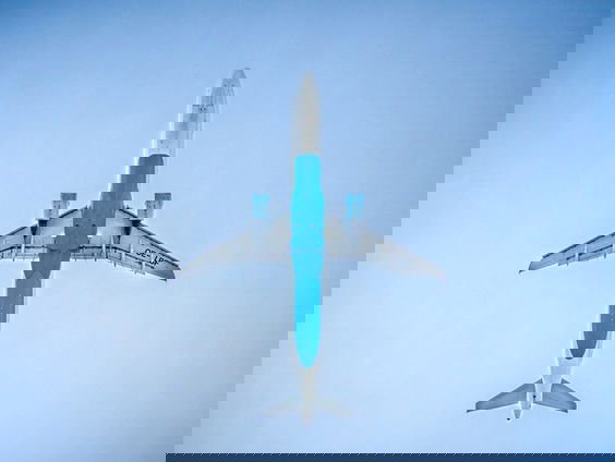 De prijs van onze liefde voor vliegen