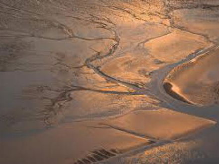 Voicemal Edith Schippers: Eén baas in Waddengebied