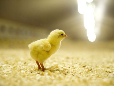 Standpunt Ventiel: Lucht je hart!