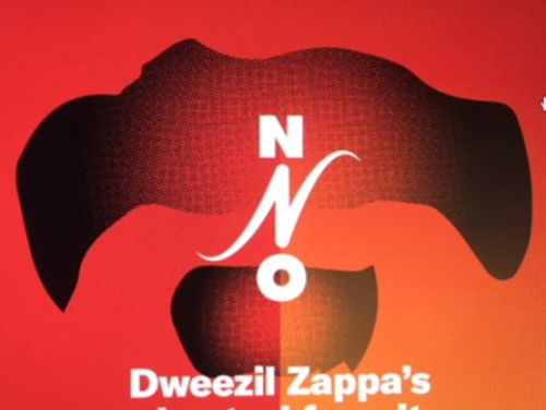Co de Kloet over Dweezil Zappa