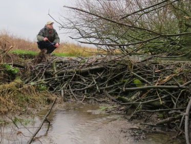 Overlast van bevers beperken