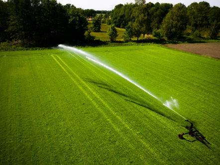 Dit jaar opnieuw een droge zomer