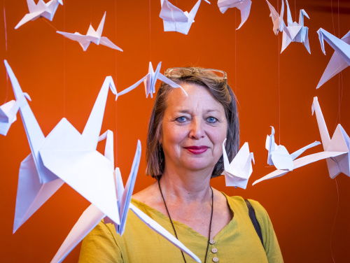 Kraanvogels in Beeld en Geluid