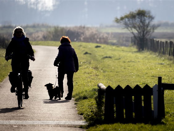 Verhalen van Spraakmakers: Gezonde leefstijl - deel 2
