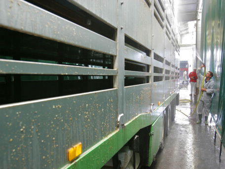 FNV wil strenger toezicht op naleving coronamaatregelen in vleesindustrie