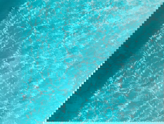 Zwem je mentaal sterk