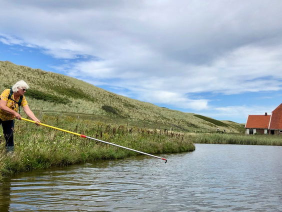 Verzilting kans voor natuur