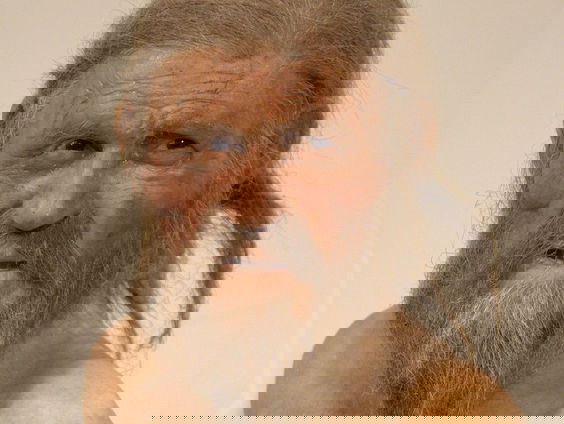 Ötzi werd 30 jaar geleden gevonden, wat weten we over de IJsman?