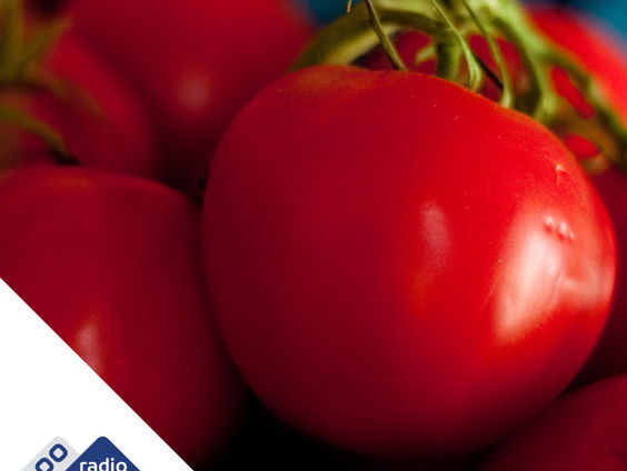 Mangiare! Over Margo Reuten en leverworst