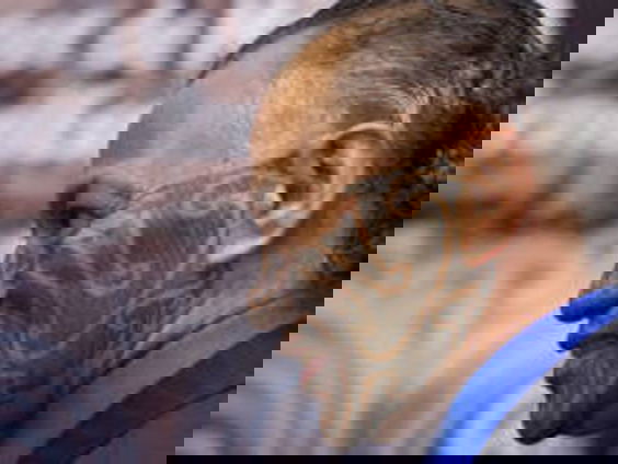 Maori's ontdekten Antarctica