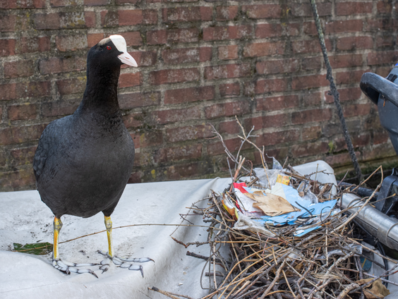 Nooit meer hetzelfde: Auke-Florian Hiemstra