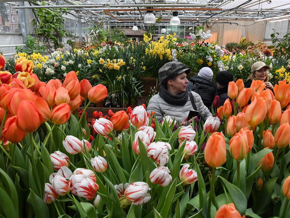 Hoe ontwerp je de meest efficiënte tuin?