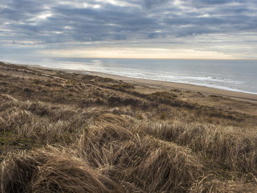 Soundscape: virtuele wandeling langs kust, wad en duin