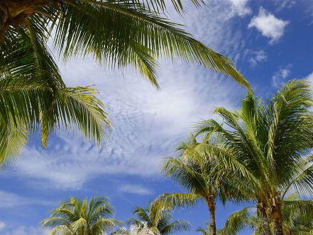Stageperikelen in het buitenland