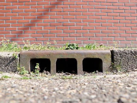 Helpende hand voor padden in de put