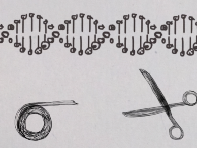 Genetisch aanpassen van embryo's, moeten we dat willen?