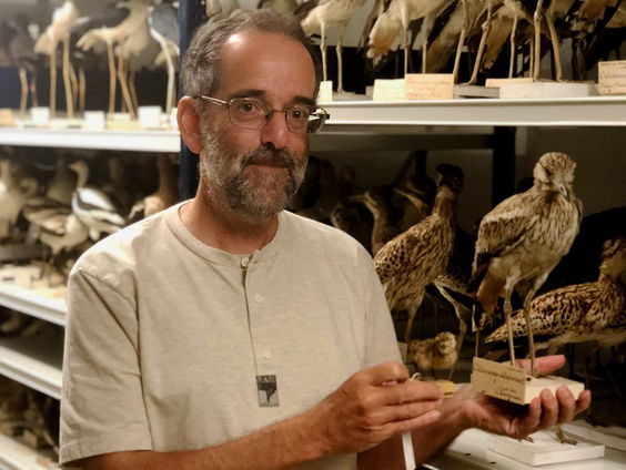 Gegrepen door grielen