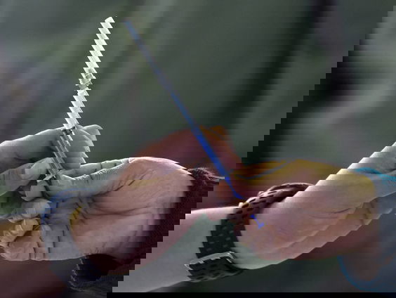 Russisch Spoetnik-vaccin versneld beoordeeld