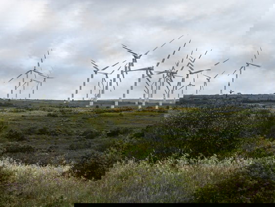 Windmolens op land: noodzakelijk of doorn in het oog?