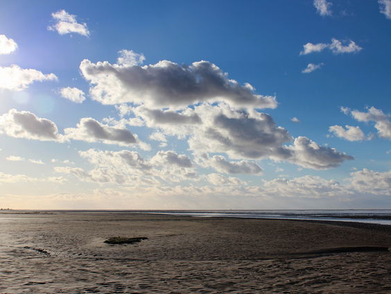 Het Laatste Woord met Paul Rupert