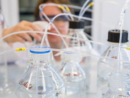 Alles over 'biohacking'