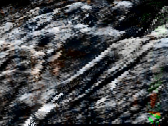 Mitchell Esajas blij met excuses Amsterdam, maar 'volgende stap is herstel'