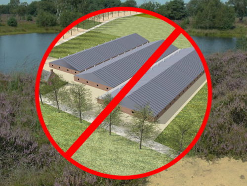 "Geen megastal naast kwetsbaar natuurgebied de Kampina"