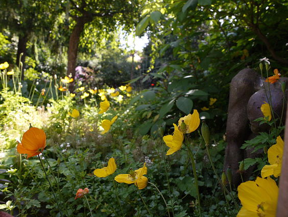 2000 soorten in je tuin