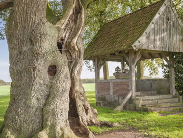 Verhaal van de Kroezenboom