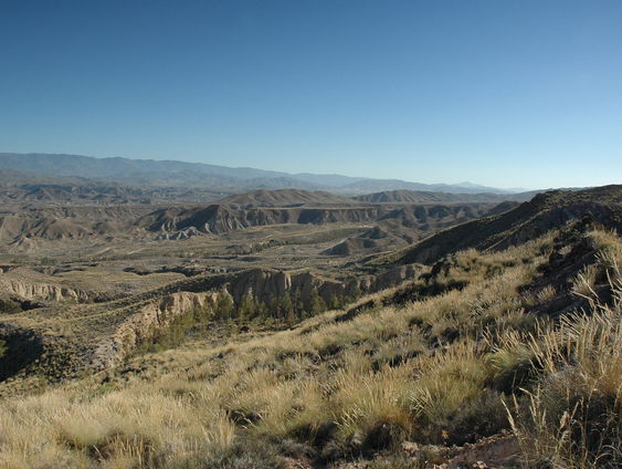 Een ode aan de Tabernaswoestijn