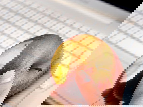 'An apple a day keeps the doctor away' - klopt dat?