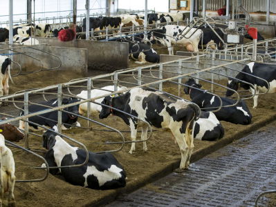 Is mestvergisting de oplossing?